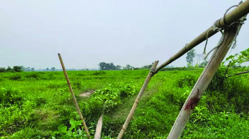 নারায়ণগঞ্জের বন্দর ও সোনারগাঁ উপজেলার তিনটি ইউনিয়নজুড়ে বাঘরী বিলের অবস্থান। রোববার রাতে এই বিলে গ্রামবাসীর পিটুনিতে চারজন নিহত হন। গত সোমবার তোলা